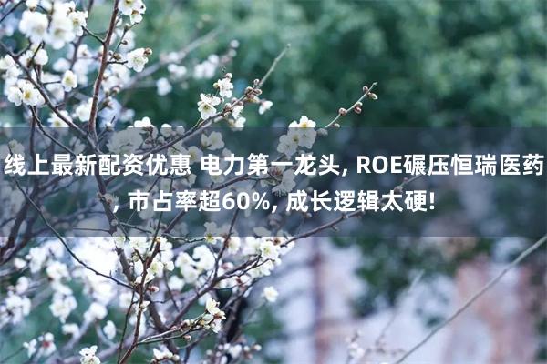 线上最新配资优惠 电力第一龙头, ROE碾压恒瑞医药, 市占率超60%, 成长逻辑太硬!