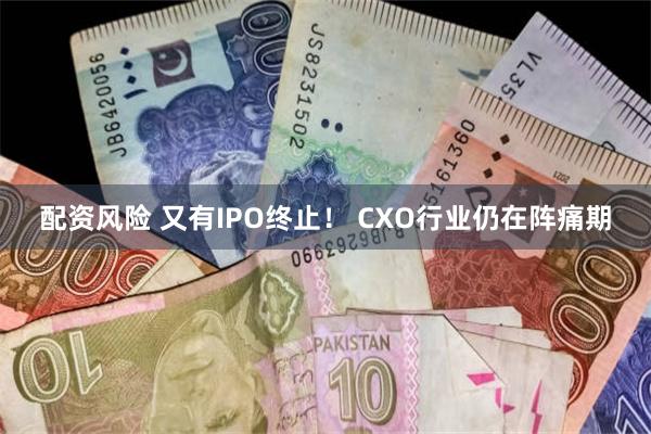 配资风险 又有IPO终止！ CXO行业仍在阵痛期