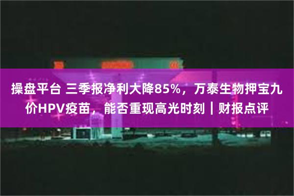 操盘平台 三季报净利大降85%，万泰生物押宝九价HPV疫苗，能否重现高光时刻︱财报点评