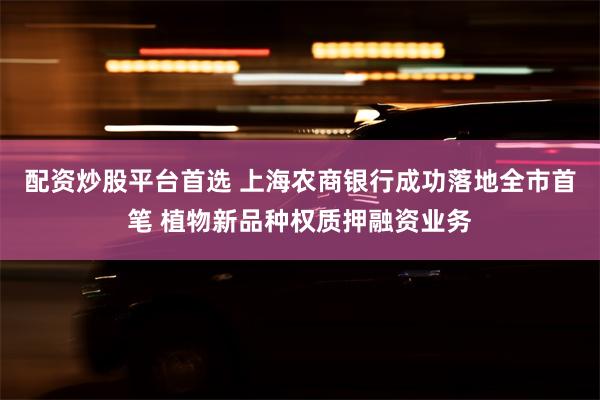 配资炒股平台首选 上海农商银行成功落地全市首笔 植物新品种权质押融资业务