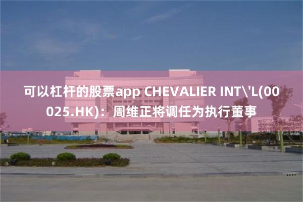 可以杠杆的股票app CHEVALIER INT'L(00025.HK)：周维正将调任为执行董事