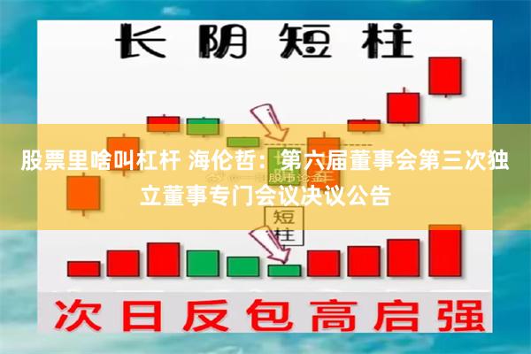 股票里啥叫杠杆 海伦哲：第六届董事会第三次独立董事专门会议决议公告