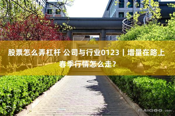 股票怎么弄杠杆 公司与行业0123丨增量在路上 春季行情怎么走？