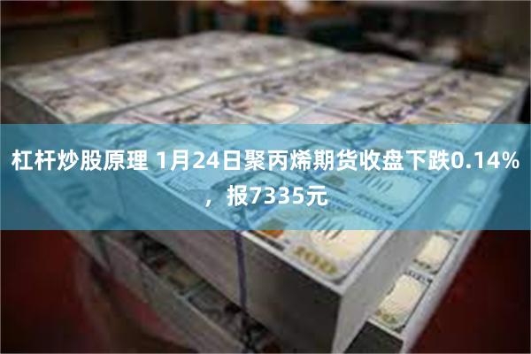 杠杆炒股原理 1月24日聚丙烯期货收盘下跌0.14%，报7335元