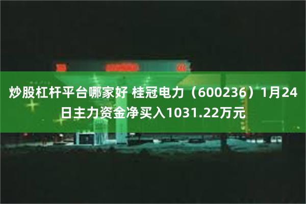 炒股杠杆平台哪家好 桂冠电力（600236）1月24日主力资金净买入1031.22万元